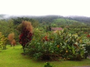 27 Arenal Kioro View 4